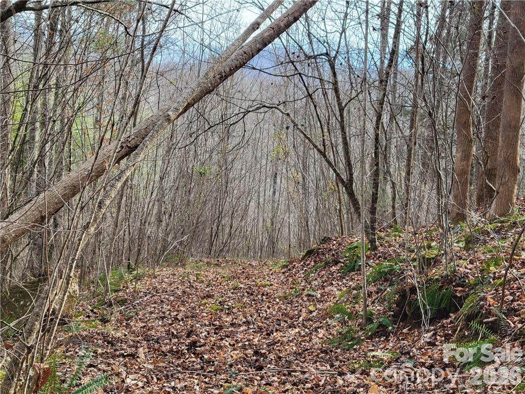 00 Sweet Creek Road - Photo 1