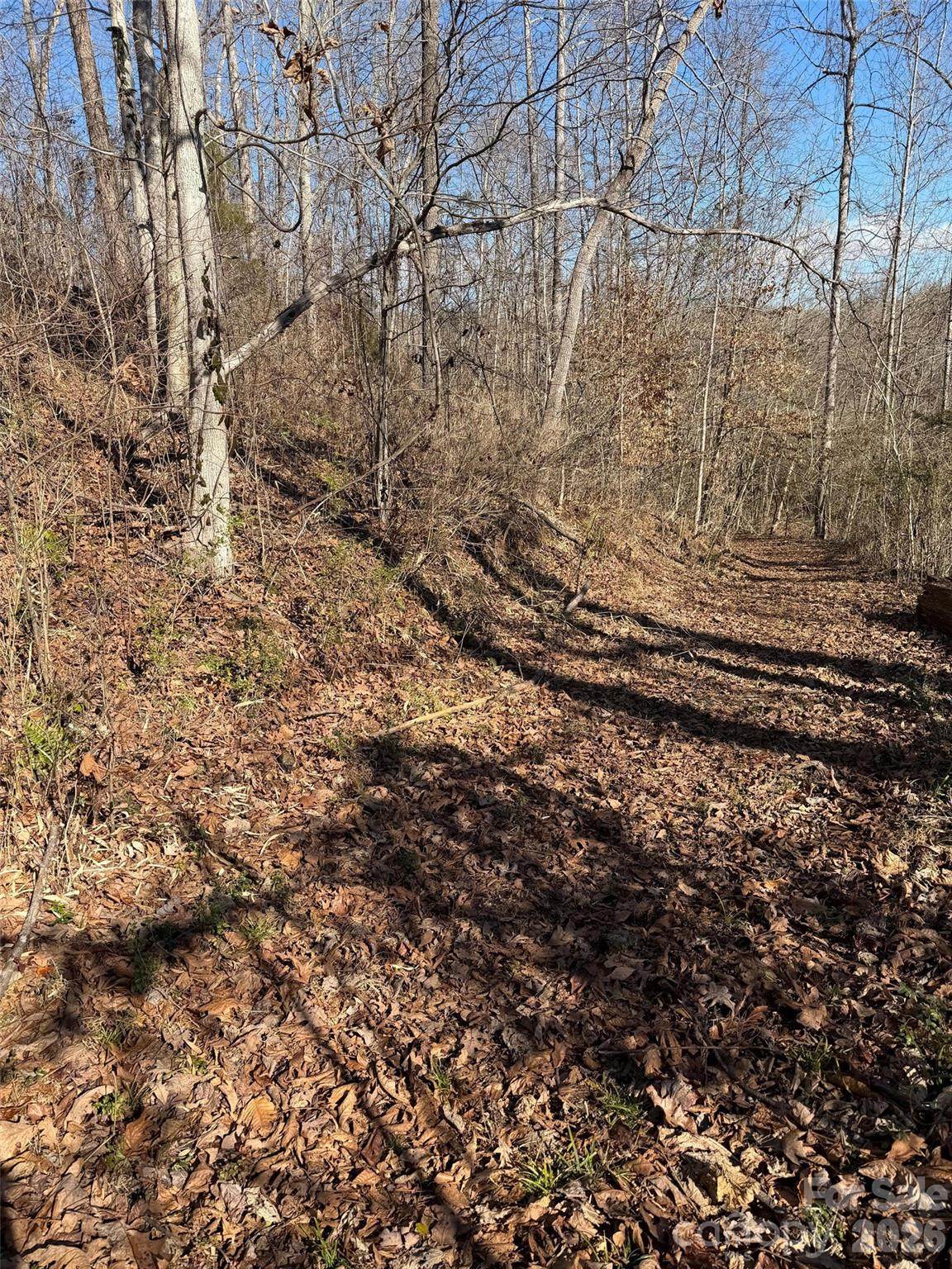 000 Rambling Creek Road - Photo 1