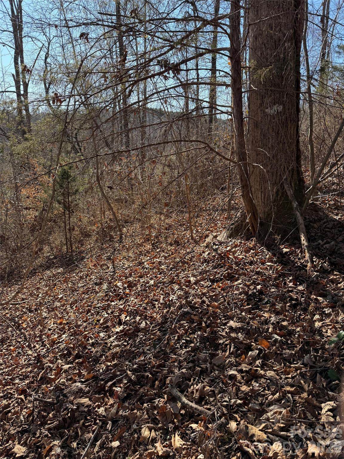 https://bt-photos.global.ssl.fastly.net/cmls/orig_boomver_1_4337780-1.jpg