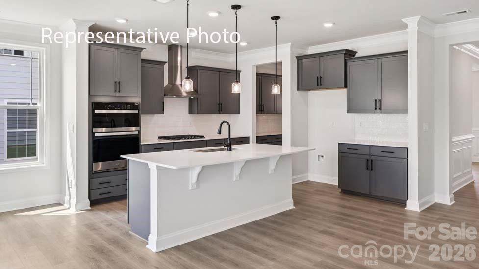 1007 Tundra Swan Drive - Photo 1