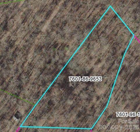 TR C Barkers Creek Road - Photo 1
