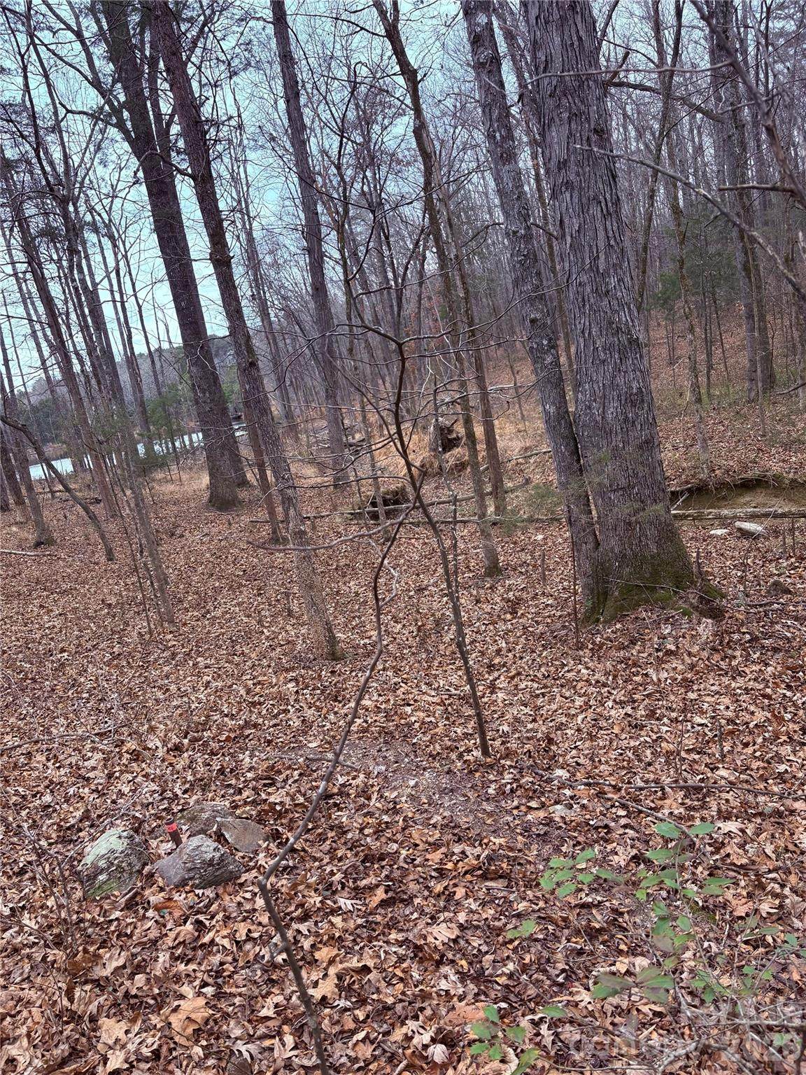 https://bt-photos.global.ssl.fastly.net/cmls/1280_boomver_1_4340133-1.jpg