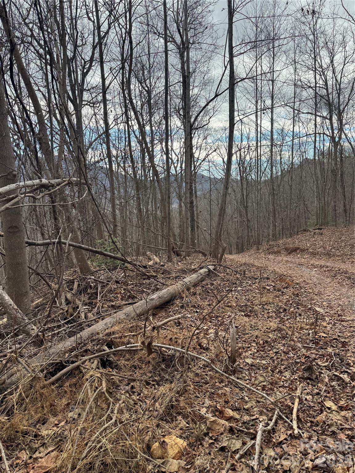 99999 Penland Road - Photo 1