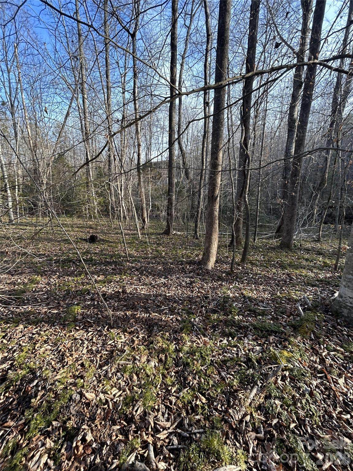 https://bt-photos.global.ssl.fastly.net/cmls/1280_boomver_1_4340524-1.jpg
