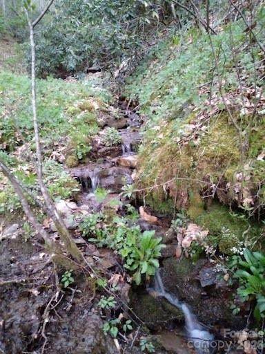 617 Barkers Creek Road - Photo 1