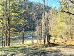 0 Green River Road - Photo 1