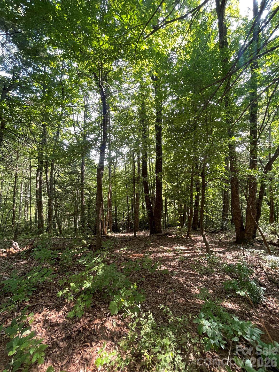 Lot # 21 Haverhill Court - Photo 1