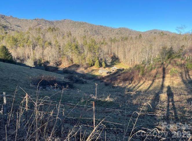 00000 Shelton Laurel Road - Photo 1