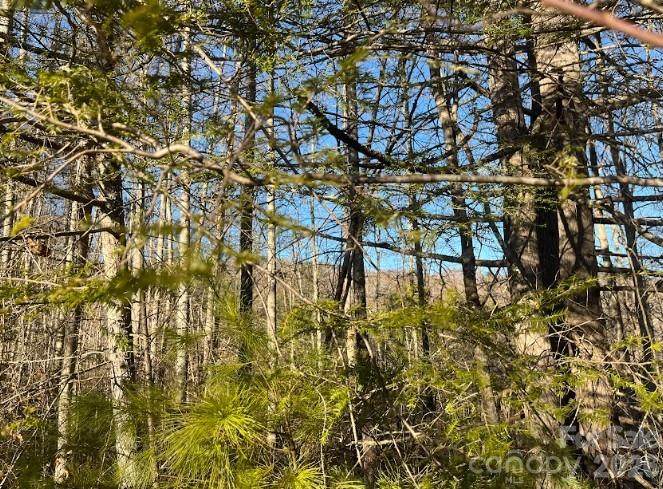 0000 Shelton Laurel Road - Photo 1