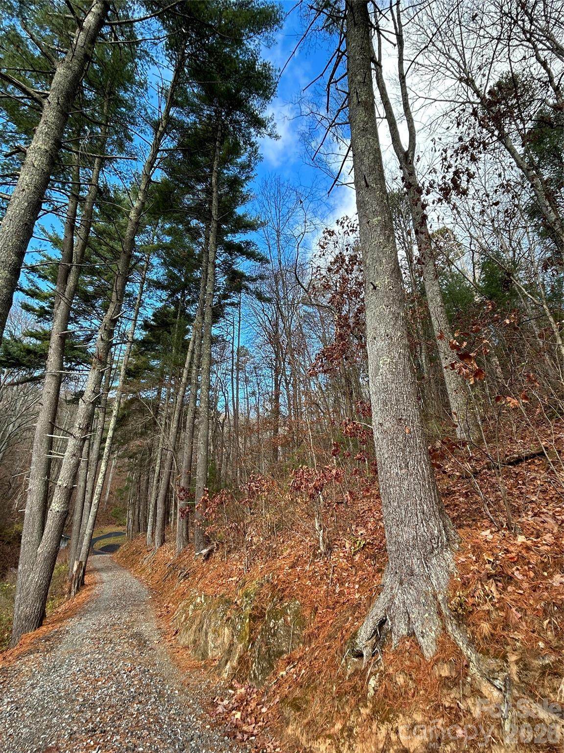 99999 Cowan Cove Road - Photo 1