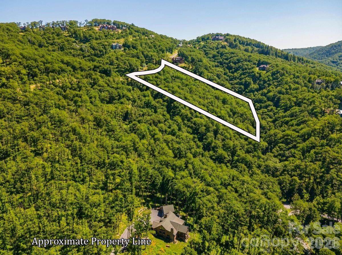 LT D54 Springwater Road - Photo 1