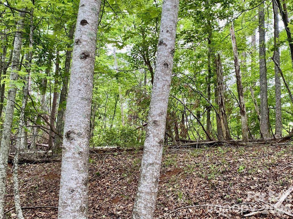 Lot 30 Granny Smith Lane - Photo 1