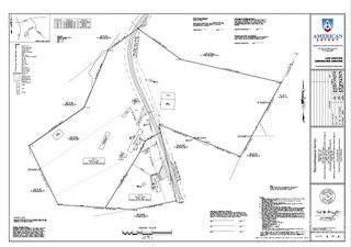 320 Tree Limb Lane - Photo 1