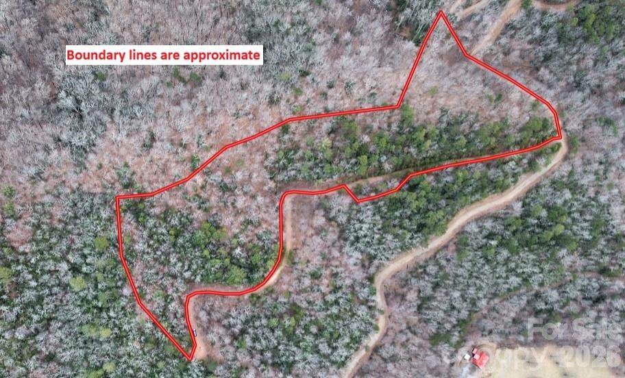 0 Betts Branch Road - Photo 1