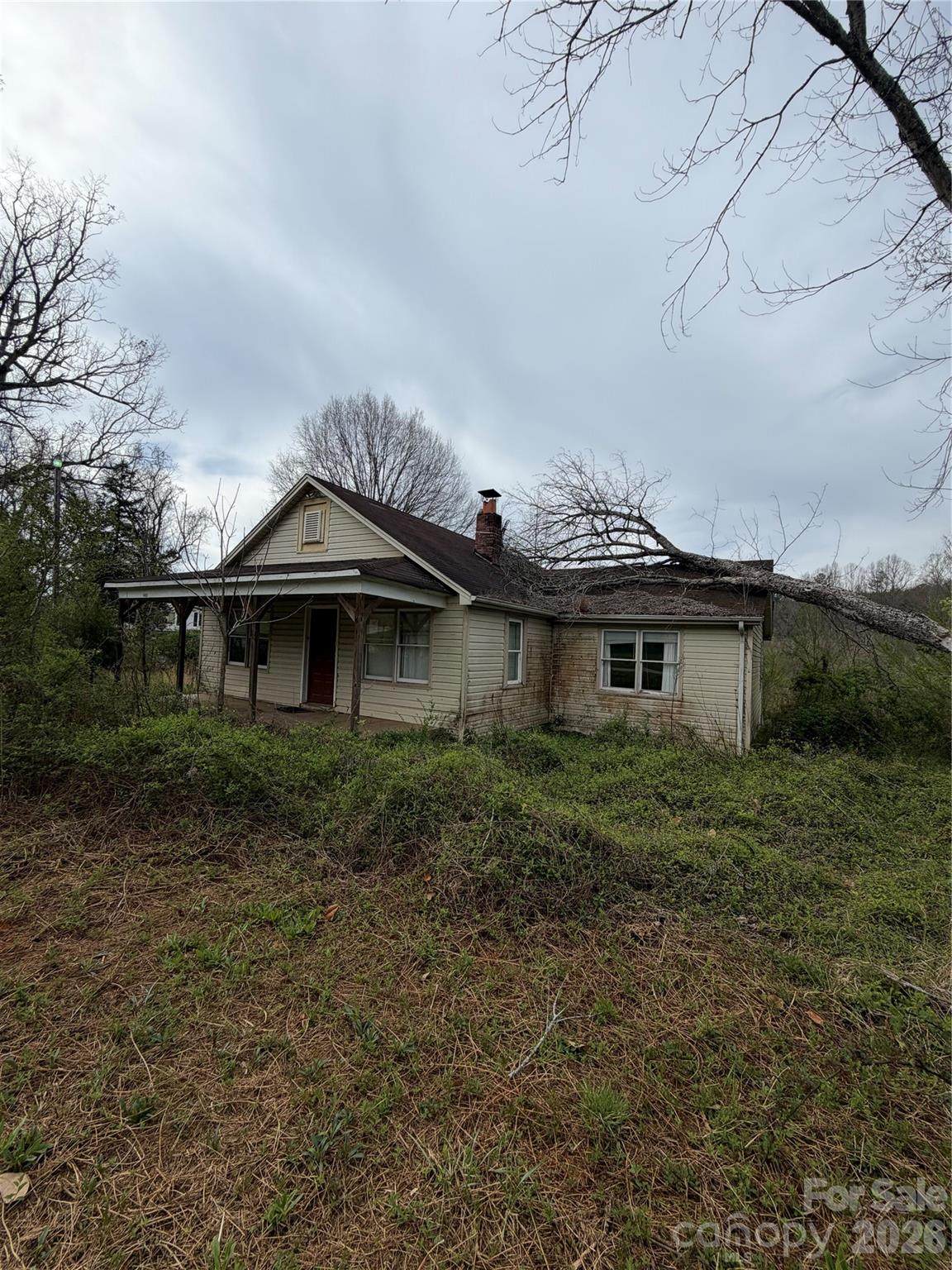 4455 Celia Creek Road - Photo 1