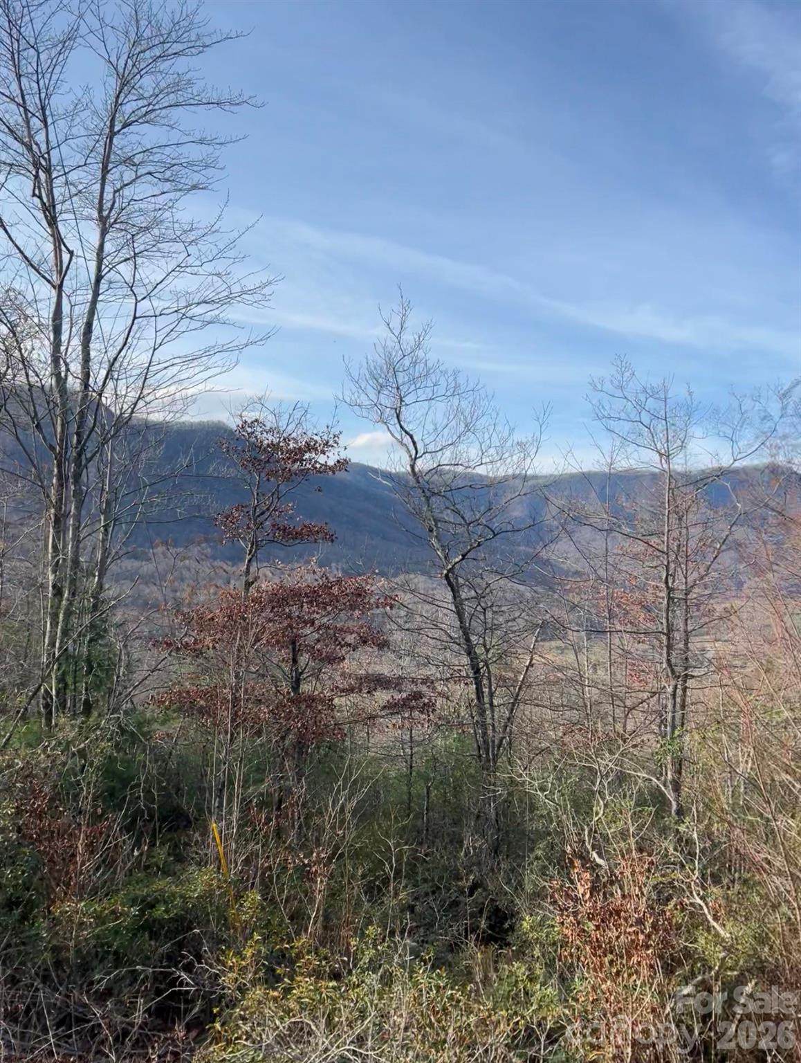 Lot 51B Wilderness Drive - Photo 1