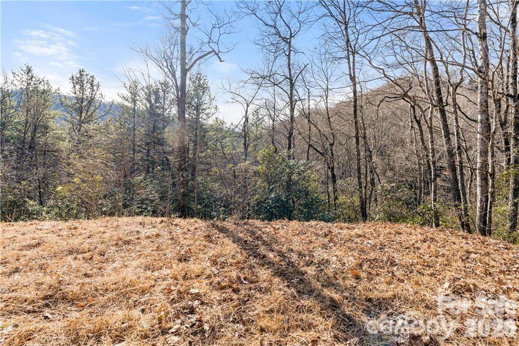 28 Trillium Lane - Photo 1