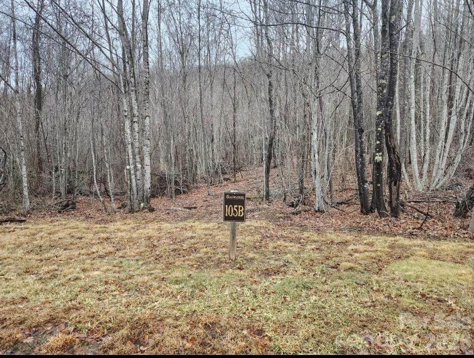 0 Beaver Dam Road - Photo 1