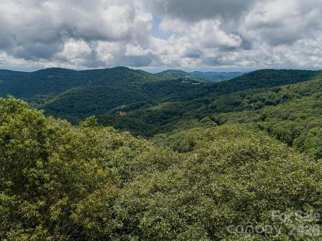 366 Birch Springs Lane - Photo 1