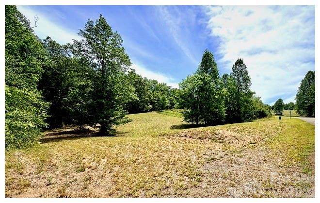 0 Shady Bark Lane - Photo 1