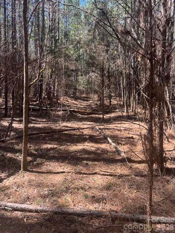 312 Pine Grove Road - Photo 1