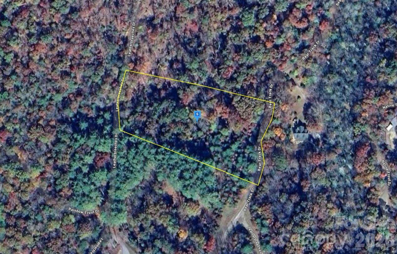 51 Bear Track Drive - Photo 1