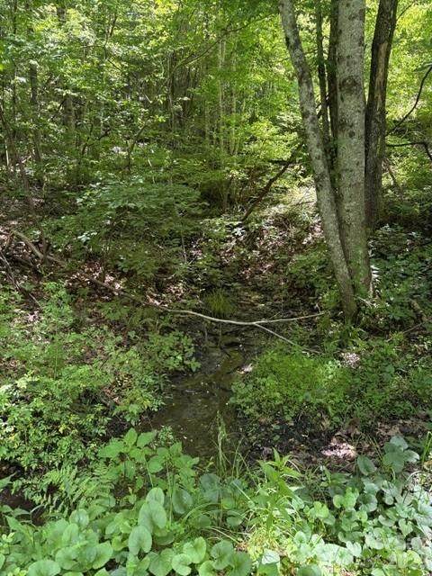 00 Shoaf Lane - Photo 1