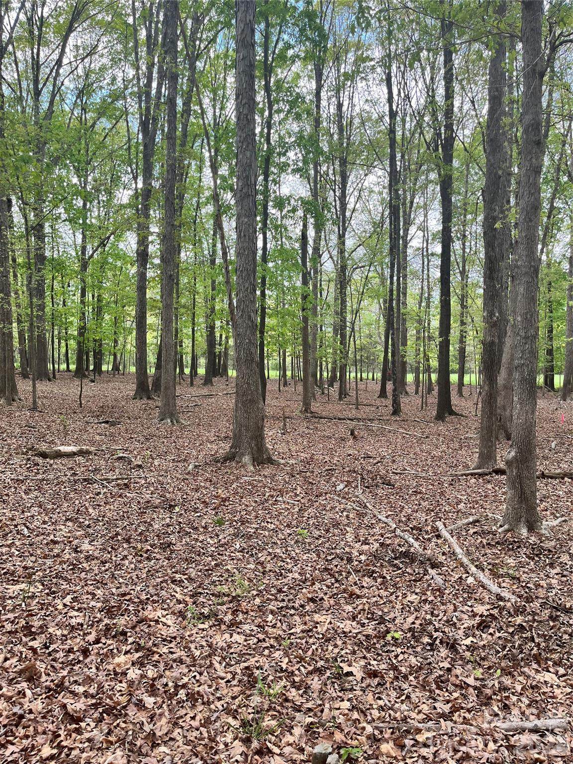 001 Wolf Pond Road - Photo 1