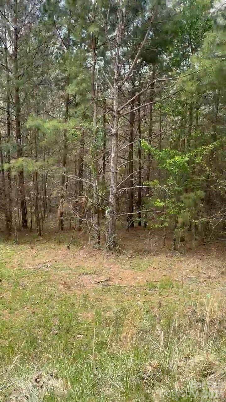 117 Church View Drive - Photo 1
