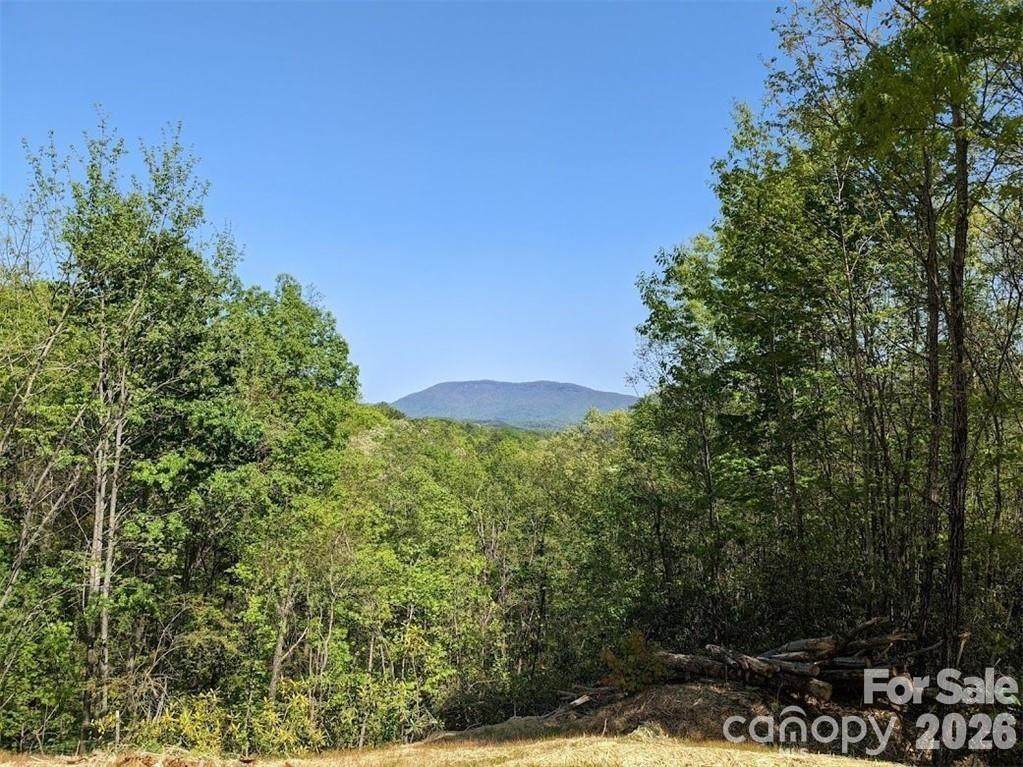 171 Nuthatch Lane - Photo 1