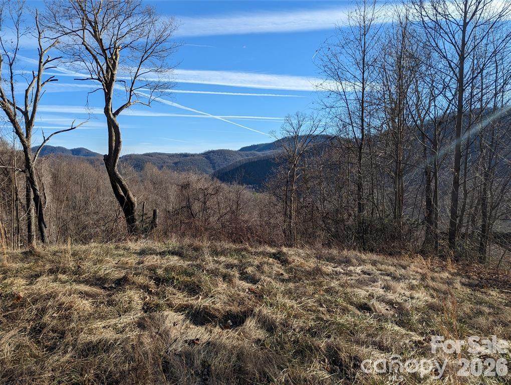 117 Ironwood Lane - Photo 1