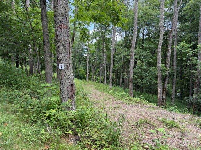 Lot 7 Gadohi Trail - Photo 1