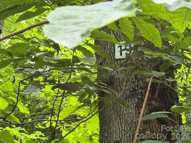 Lot 19 Iga Trail - Photo 1