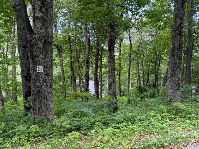 Lot 21 Odalu Trail - Photo 1