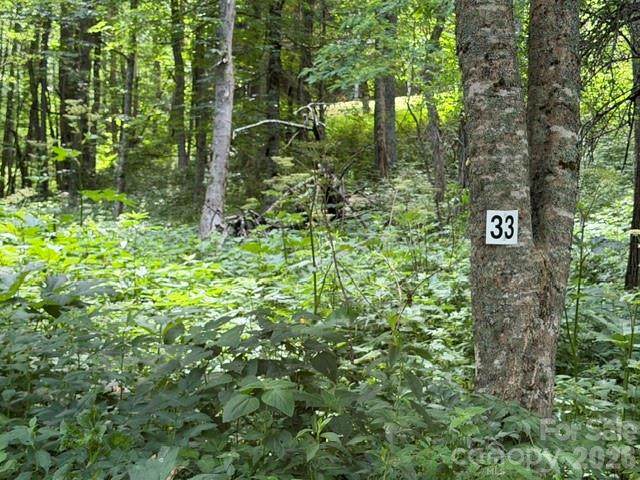 Lot 33 Toi Trail - Photo 1