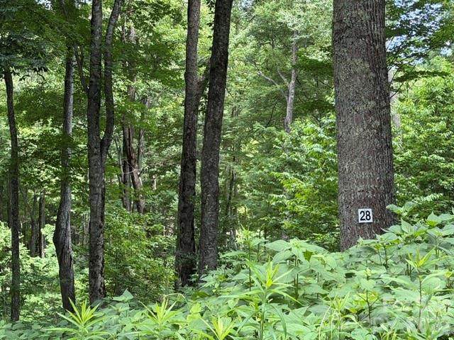 Lot 28 Toi Trail - Photo 1