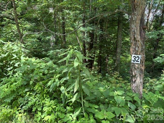 Lot 32 Toi Trail - Photo 1