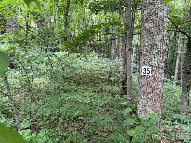 Lot 35 Odalu Trail - Photo 1