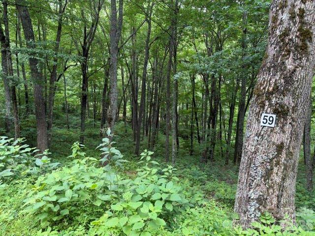 Lot 59 Odalu Trail - Photo 1