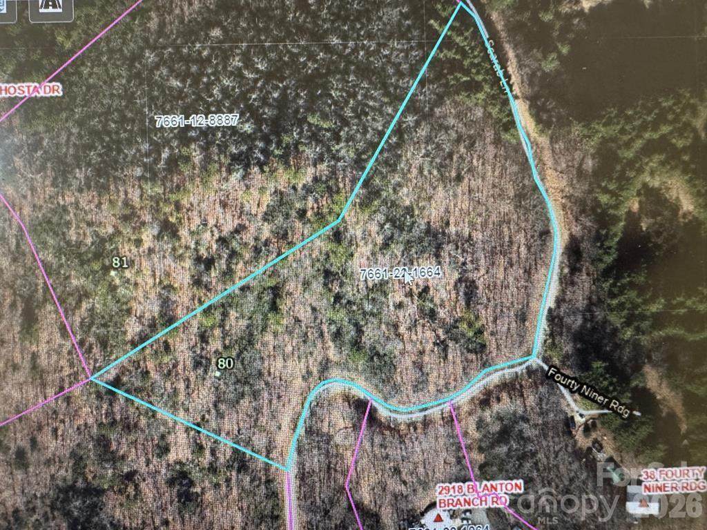 Lot 80 Cane Creek Ridge - Photo 1