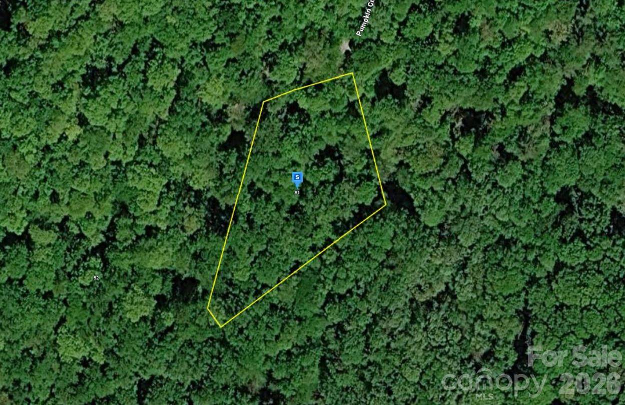 51 Pumpkin Creek Lane - Photo 1