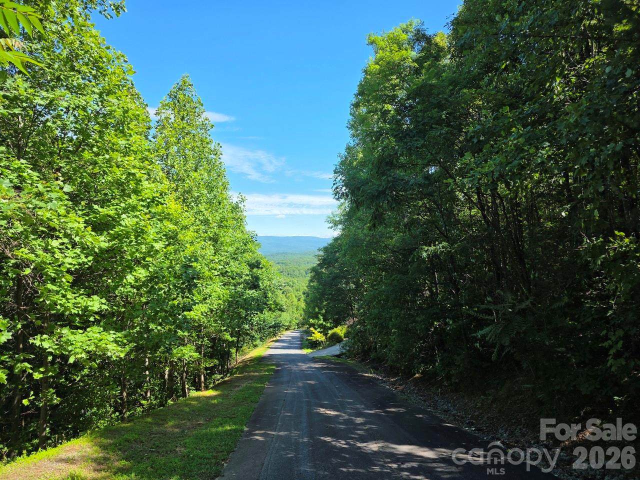 52 Big View Drive - Photo 1