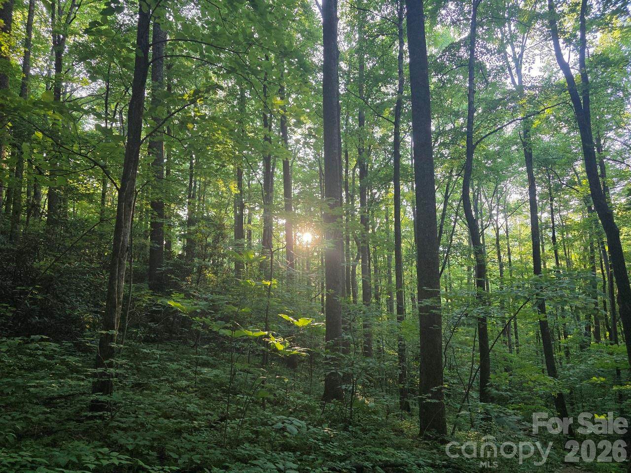 https://bt-photos.global.ssl.fastly.net/cmls/1280_boomver_1_4399638-1.jpg
