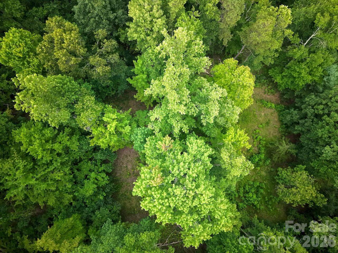 https://bt-photos.global.ssl.fastly.net/cmls/orig_boomver_1_4401465-1.jpg