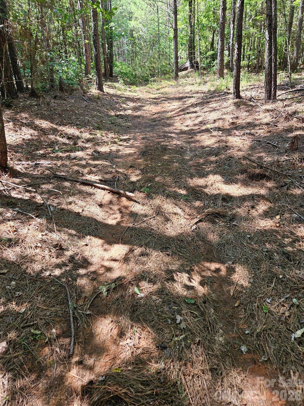 00 Cypress Drive - Photo 1