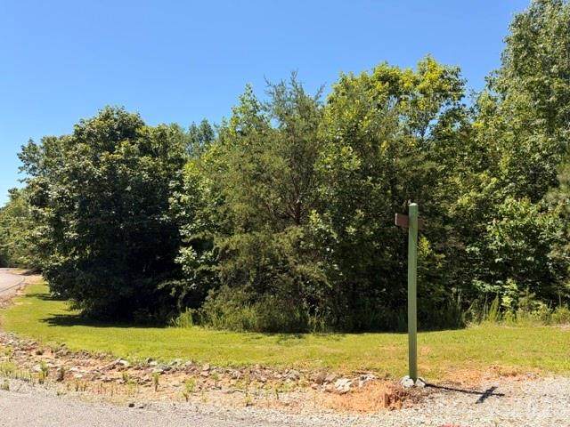 00 Panorama Drive - Photo 1