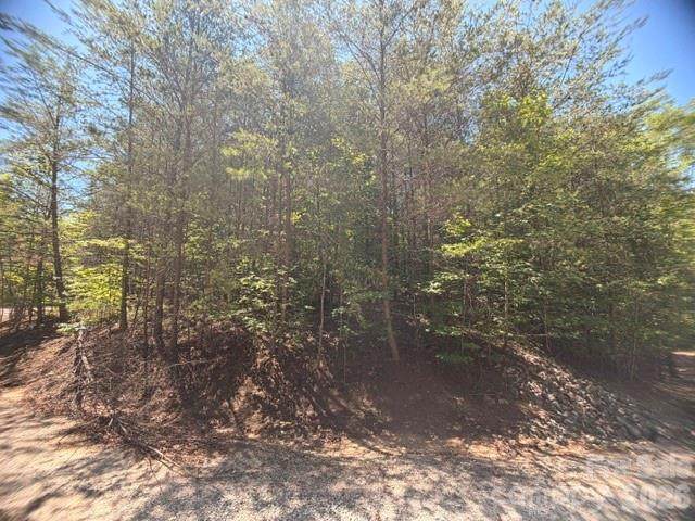 00 Sundance Drive - Photo 1