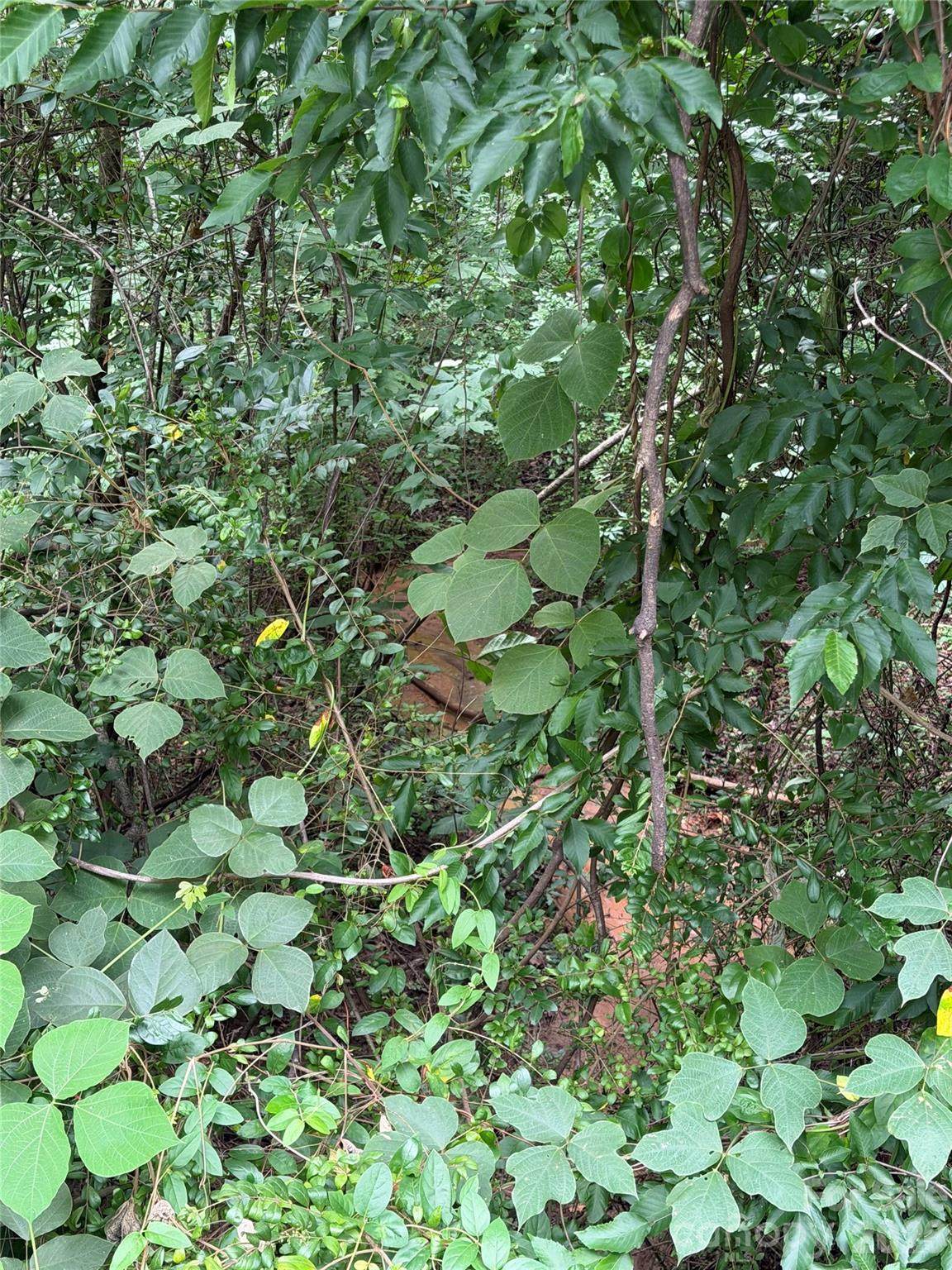 https://bt-photos.global.ssl.fastly.net/cmls/1280_boomver_1_4403004-1.jpg