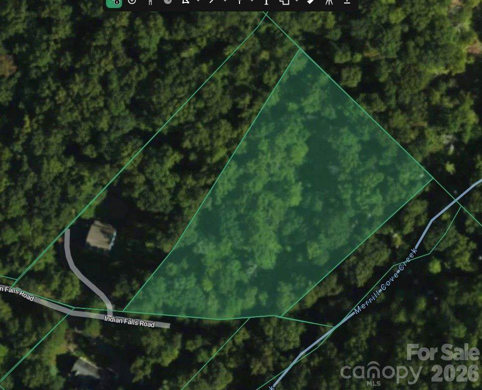 TBD Indian Falls Road - Photo 1