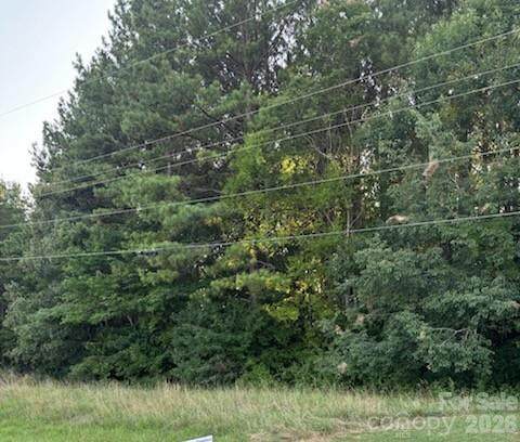 Lot 1 Mathis Church Road - Photo 1